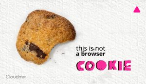 Web cookies